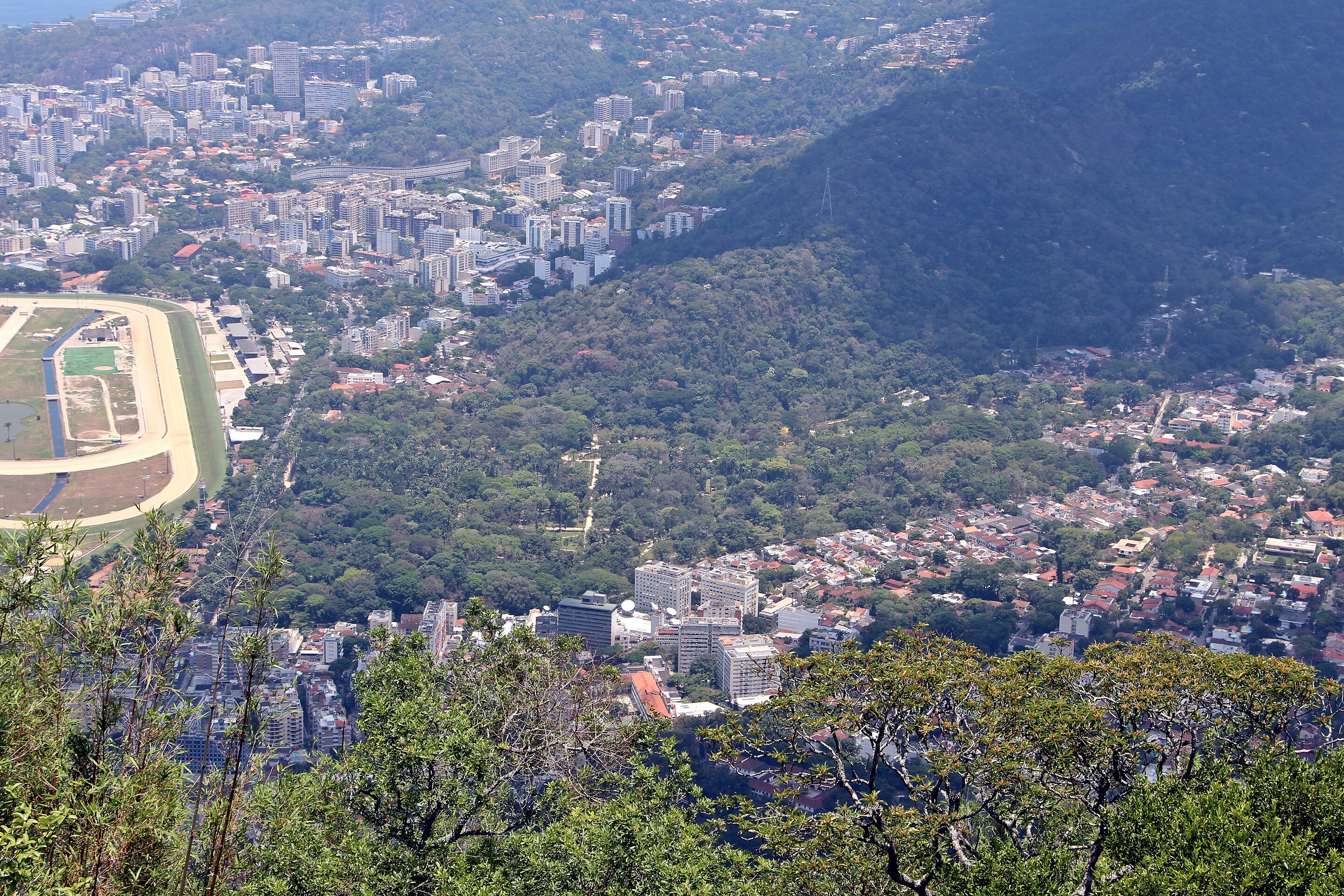 Jardim Botânico